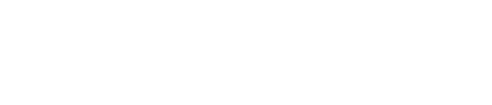 SCOUT  ROGUE MIT ZUBEHÖR In der Satteltasche und der Tasche für Solo-Gepäckträger wird deine Ausrüstung praktisch und   